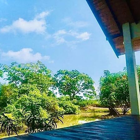 Thihawa Eco Huts Yala Bed and Breakfast Tissamaharama Exteriör bild