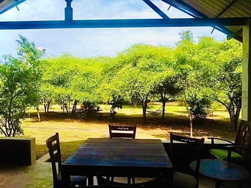 Thihawa Eco Huts Yala Bed and Breakfast Tissamaharama Exteriör bild