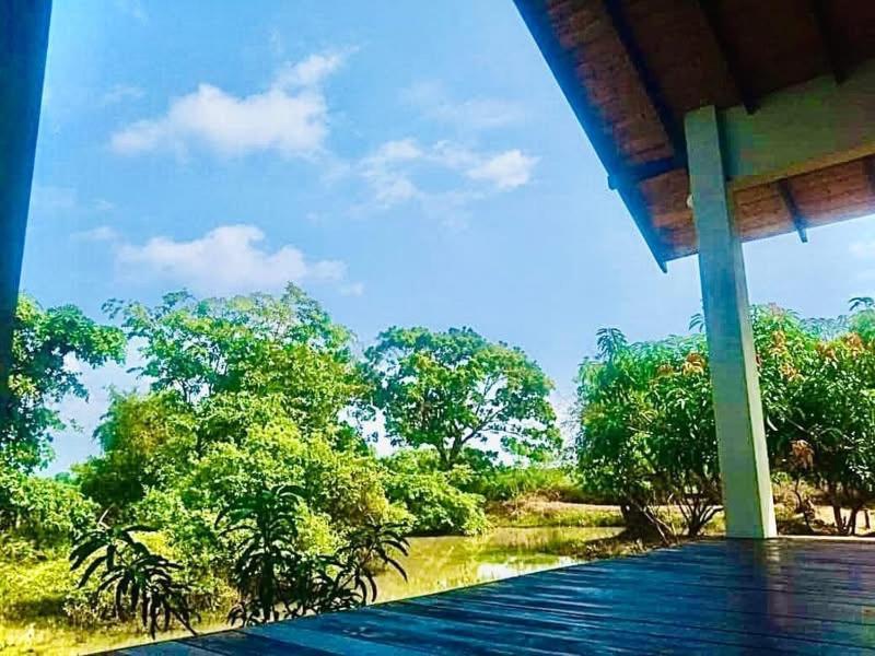 Thihawa Eco Huts Yala Bed and Breakfast Tissamaharama Exteriör bild