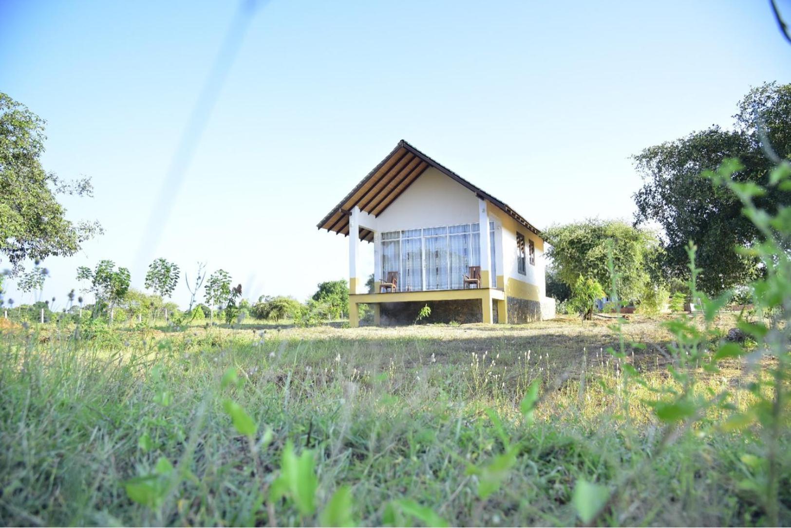 Thihawa Eco Huts Yala Bed and Breakfast Tissamaharama Exteriör bild