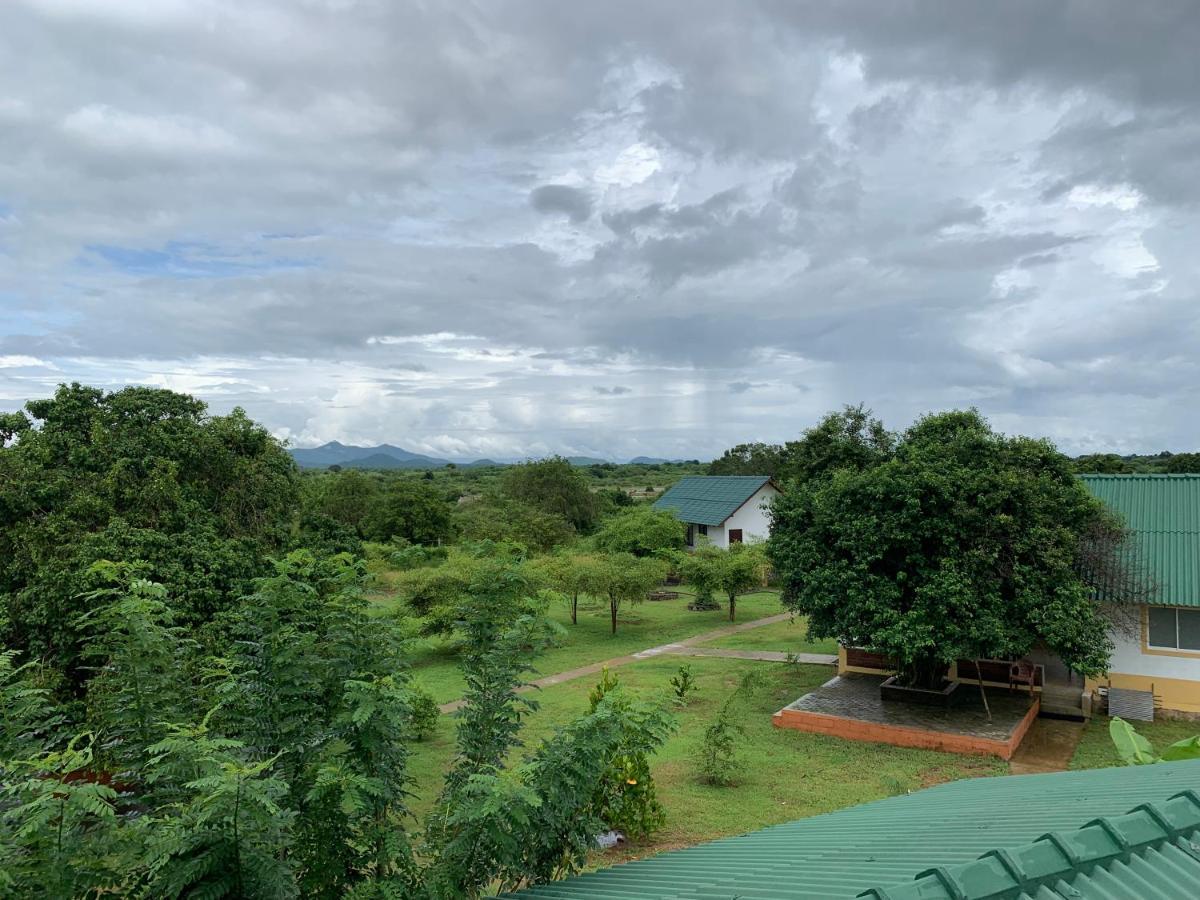 Thihawa Eco Huts Yala Bed and Breakfast Tissamaharama Exteriör bild